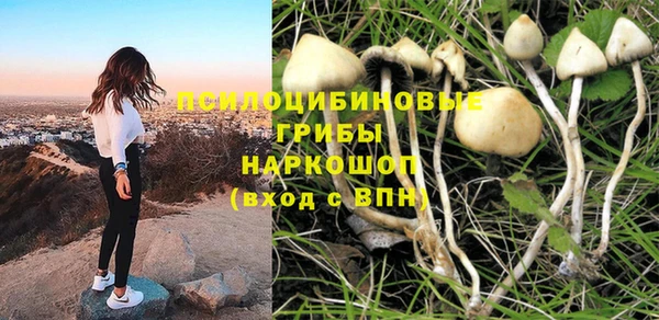 герыч Дмитровск