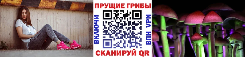 Галлюциногенные грибы ЛСД Дубовка